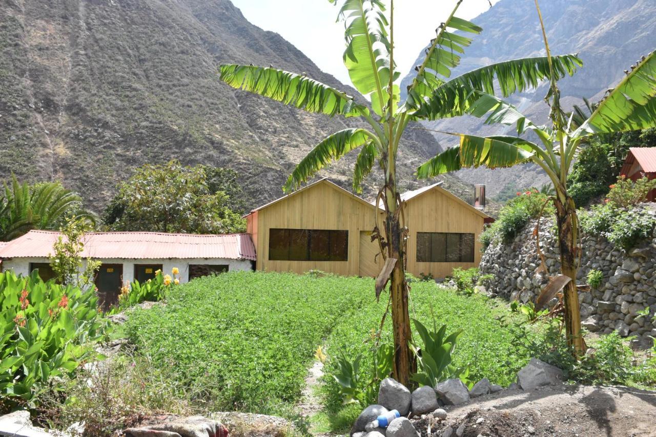 Oasis Paraiso Ecolodge Cabanaconde Buitenkant foto